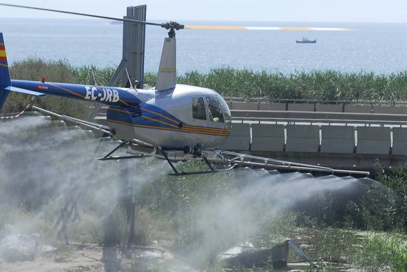 aplican-un-tratamiento-aéreo-en-la-albufera-contra-los-mosquitos