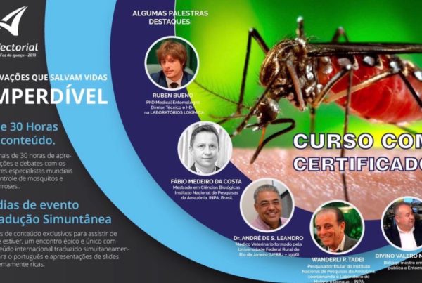 LOKÍMICA participará en un Curso Internacional Online sobre Control Vectorial
