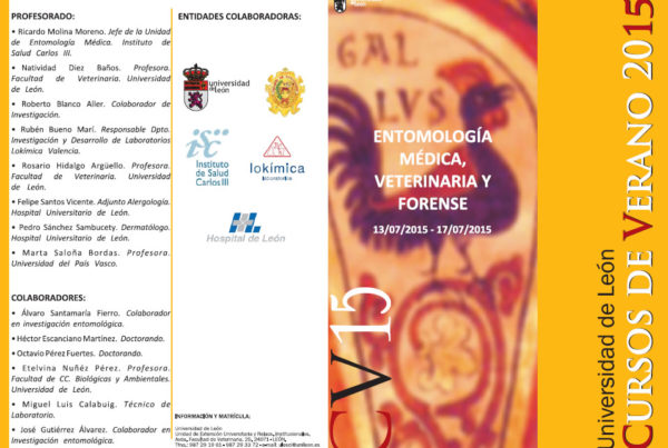 cursos-universidad-de-leon