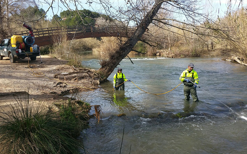 Imagen de técnicos de Lokímica aplicando tratamientos contra la mosca negra en España.