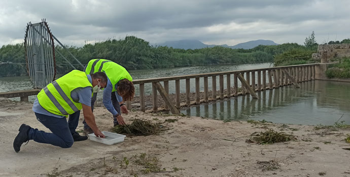 Lokímica refuerza con tratamientos aéreos el control de la mosca negra en la ribera del Júcar