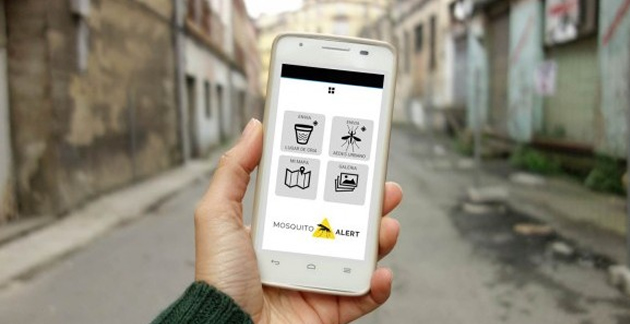 mosquito-alert
