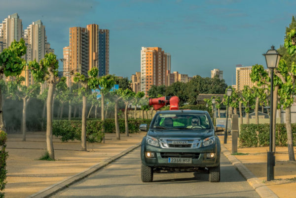 Desinfecciones con ranger en Benidorm