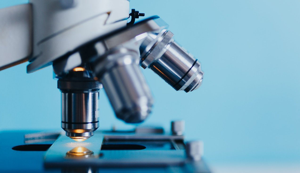 Imagen de microscopio de Lokímica