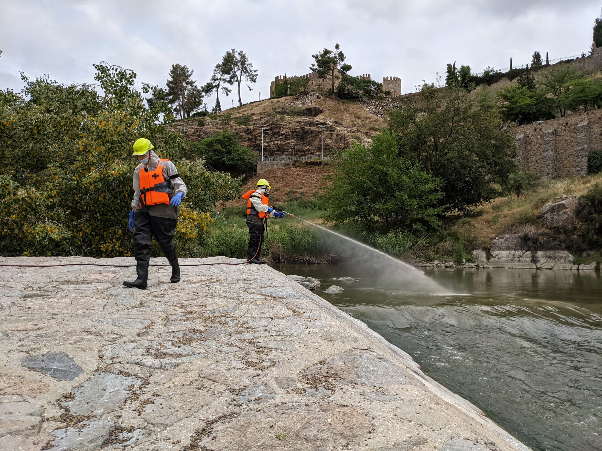 Control de la mosca negra en Toledo, España.