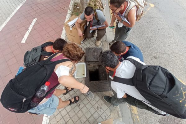 Actividades de campo  en la red de alcantarillado municipal