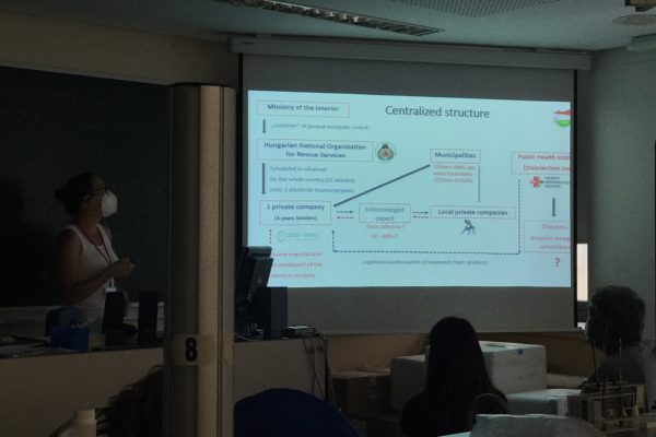 Curso Valencia (47)