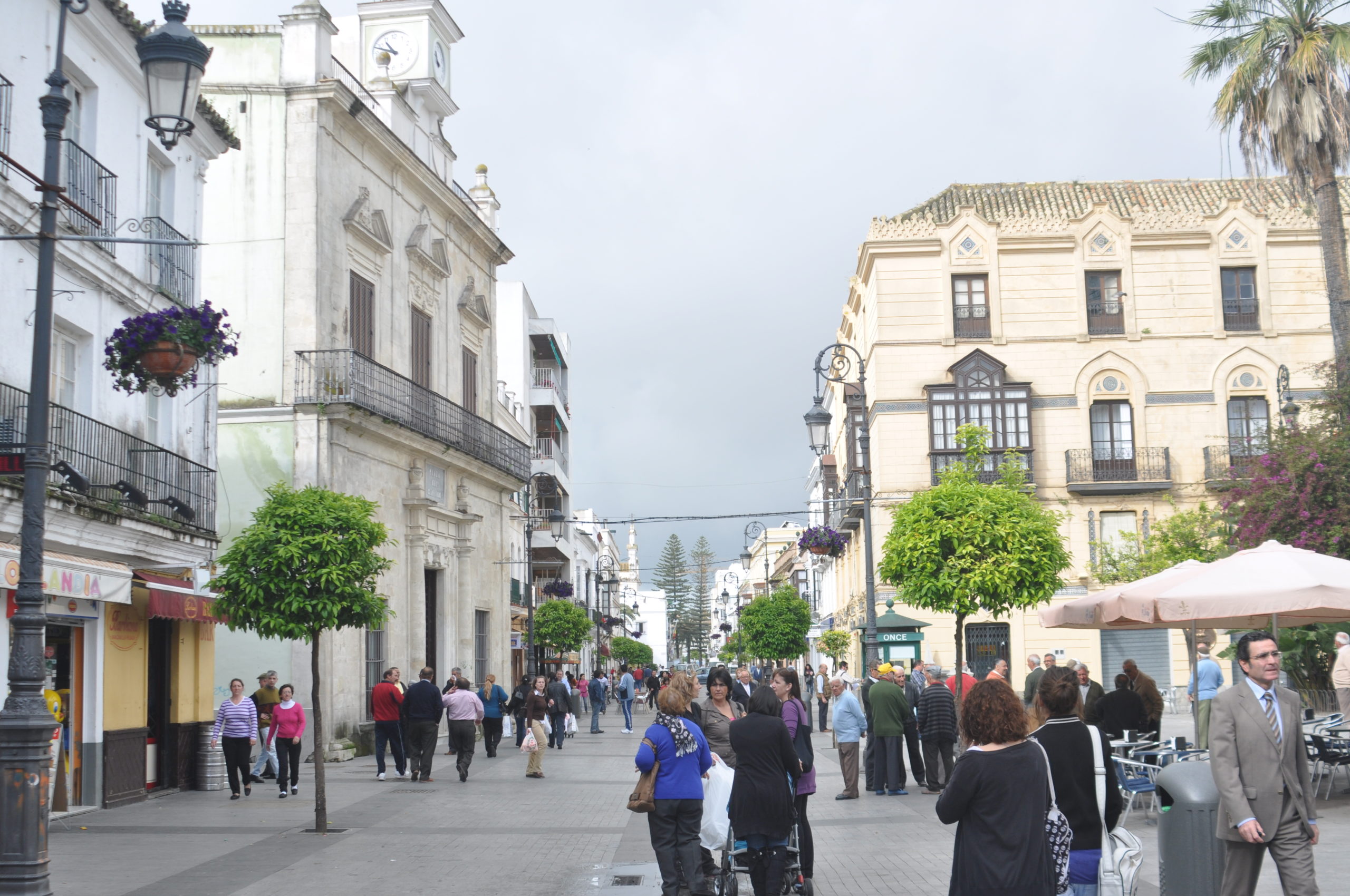 Lokímica, adjudicataria del servicio de control de plagas del Ayuntamiento de Sanlúcar de Barrameda