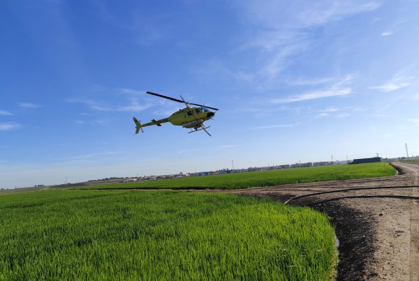 Helícóptero de Lokímica realizando un tratamiento conta el mosquito que transmite el Virus del Nilo en Coria del Río