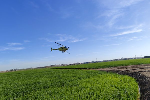 Control del Virus del Nilo con helicóptero en Sevilla - Lokímica