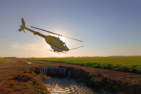 Tratamiento del Virus del Nilo en Coria del Río con Helicóptero