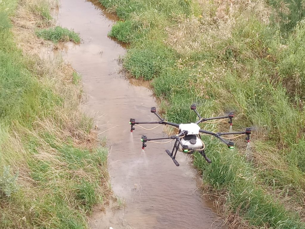 Dron realizando tratamientos larvicidas y adulticidas para prevenir el Virus del Nilo