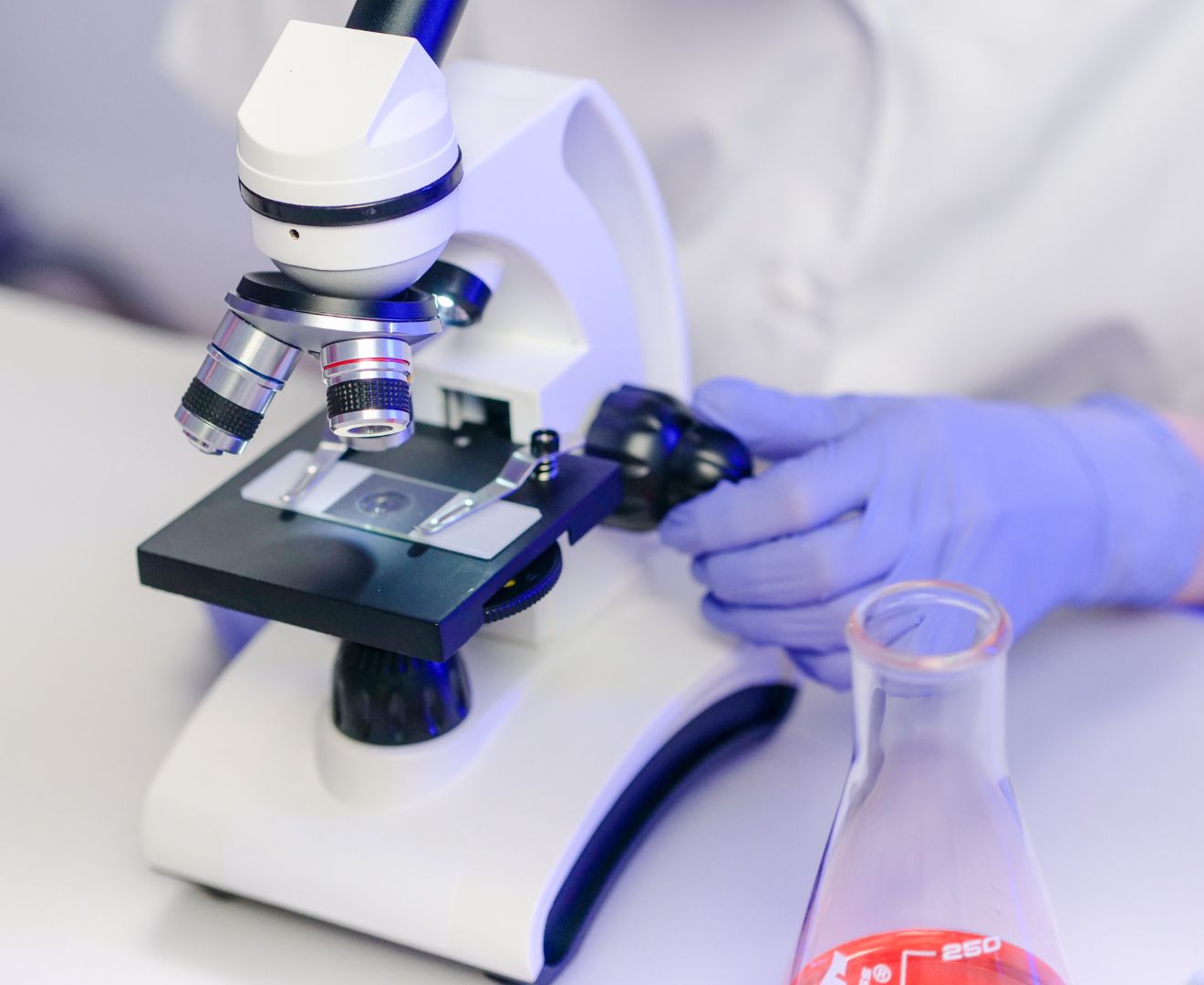 microscipio-analisis