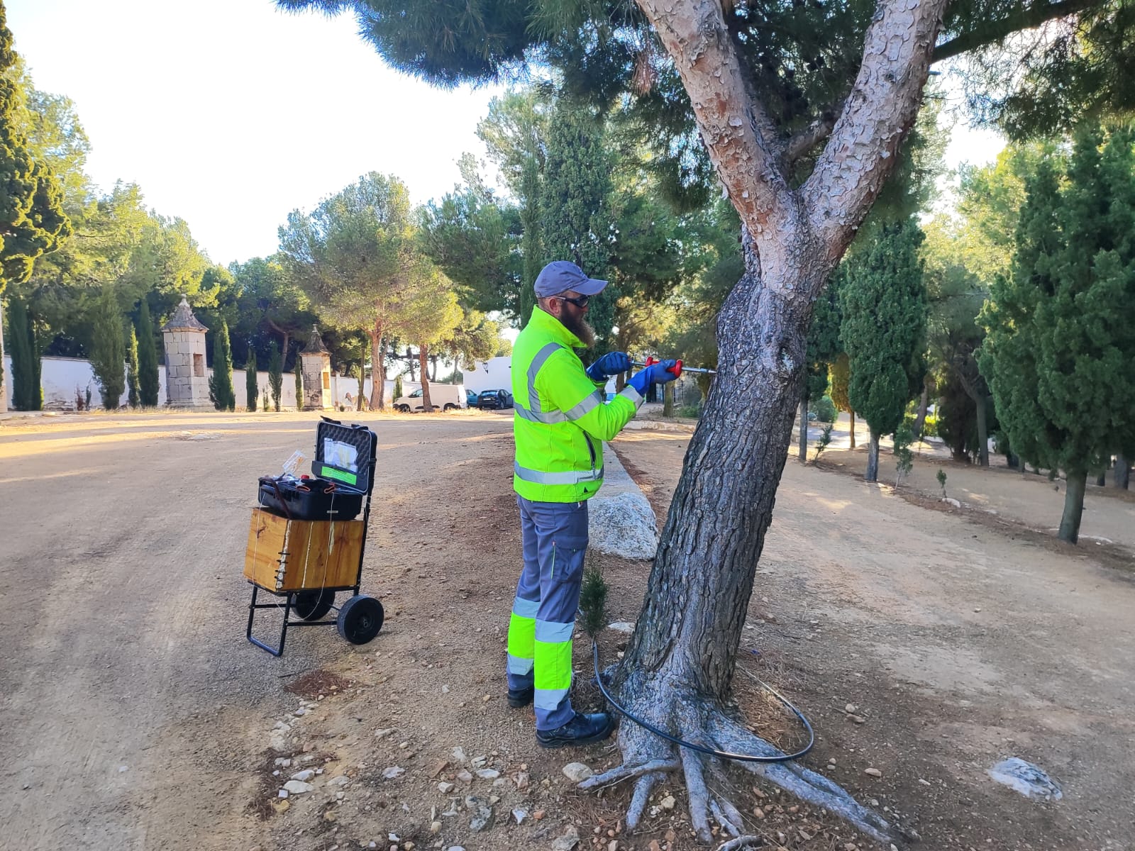 prevencion-procesionaria