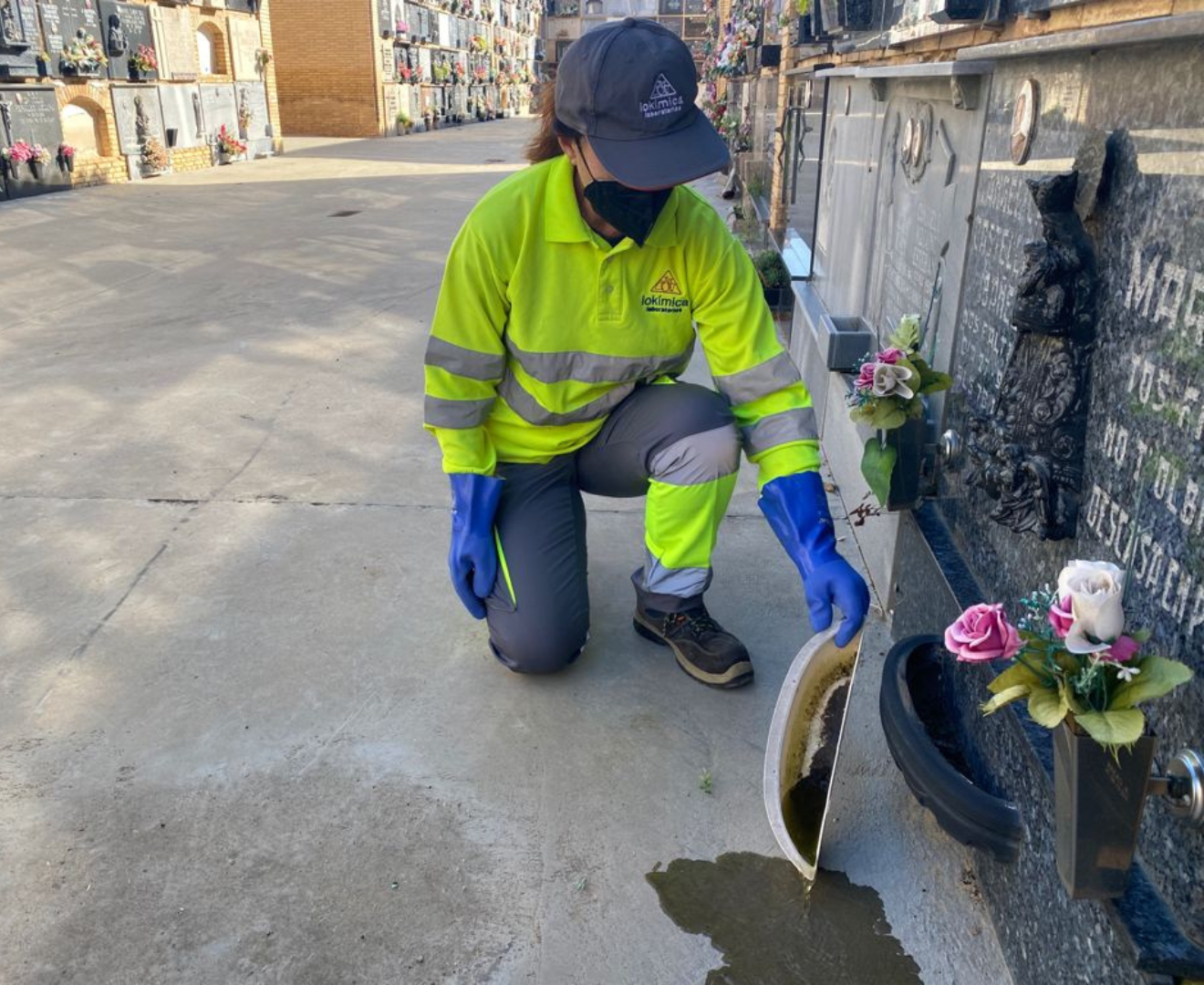prevencion mosquitos cementerio