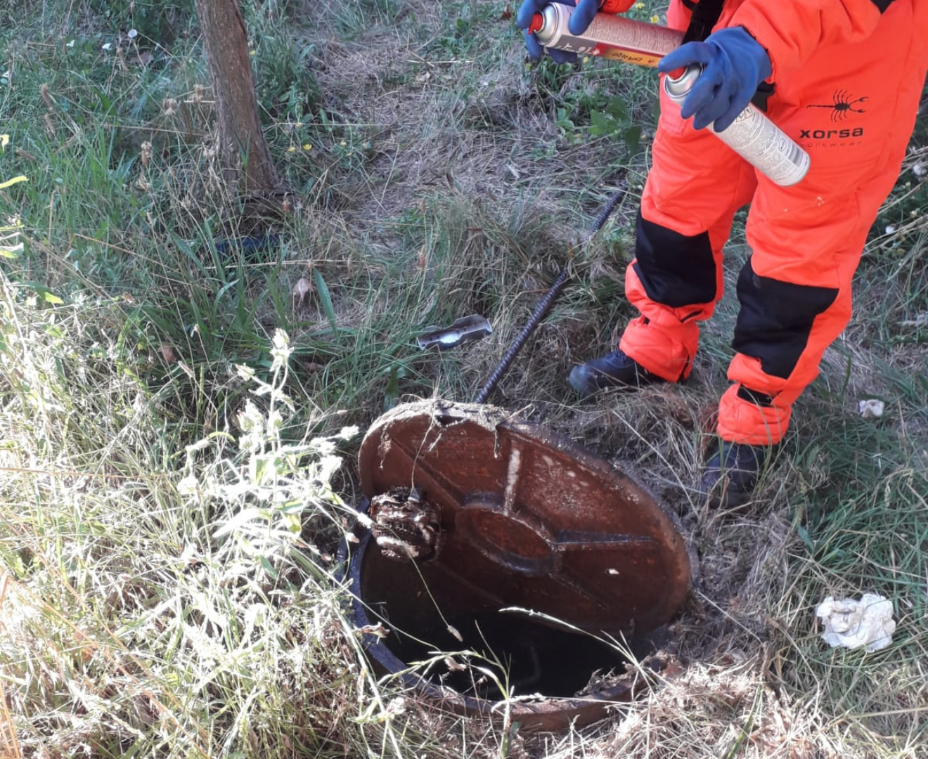 operario-nido-avispas