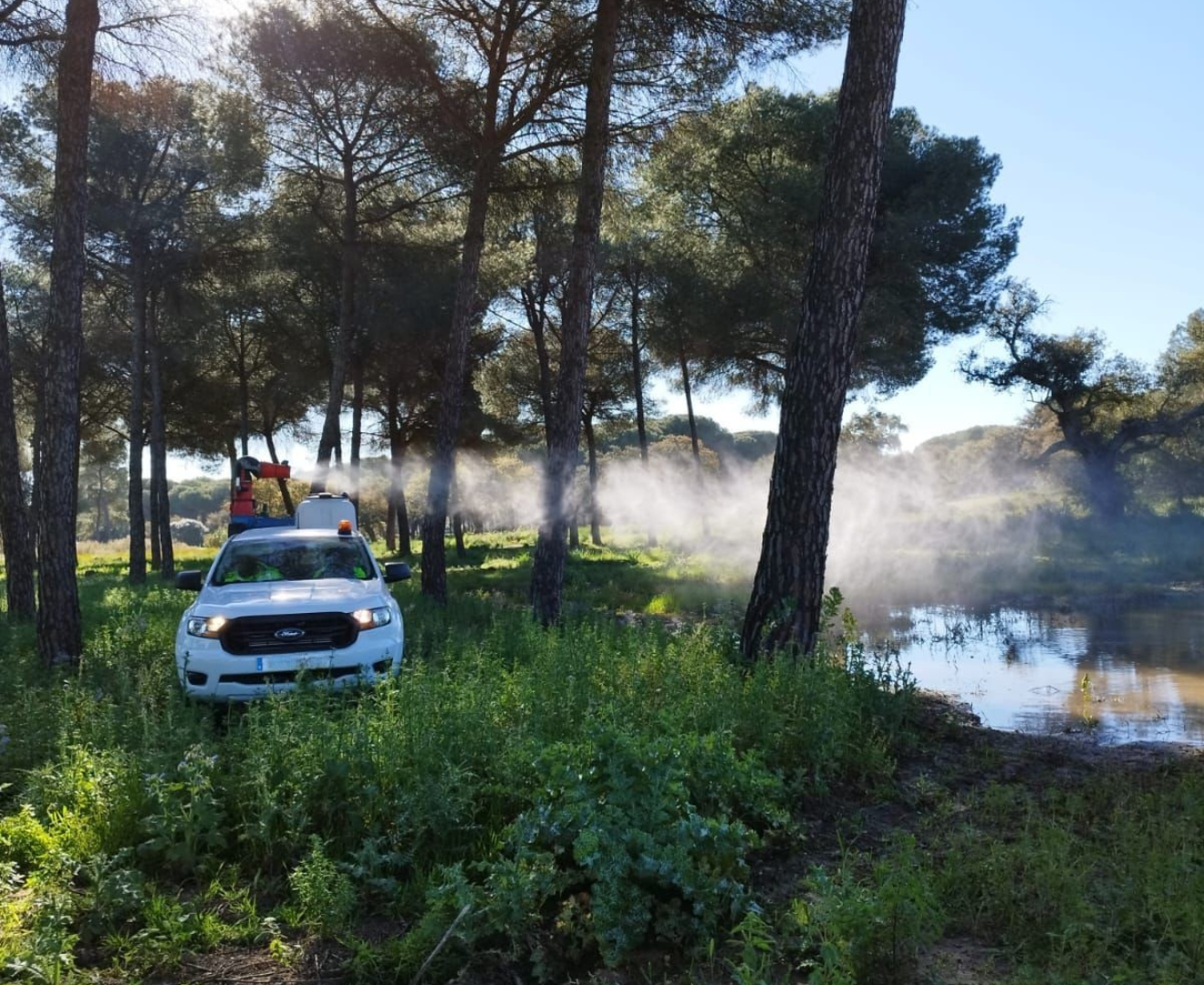 sevilla-control-virus-nilo