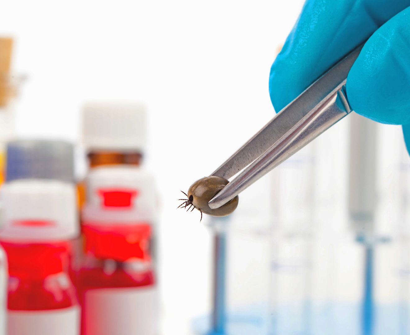 lokimica-laboratorio