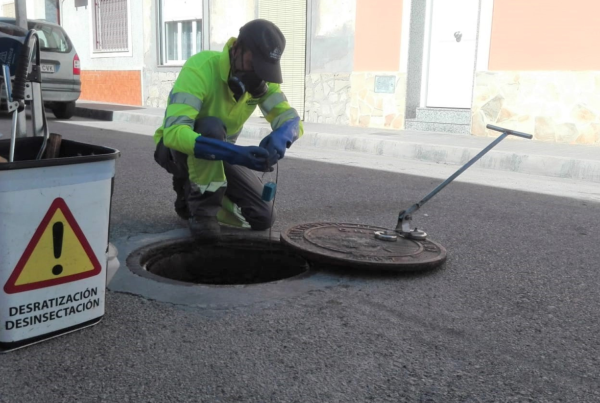 organismos-nocivos-sevilla