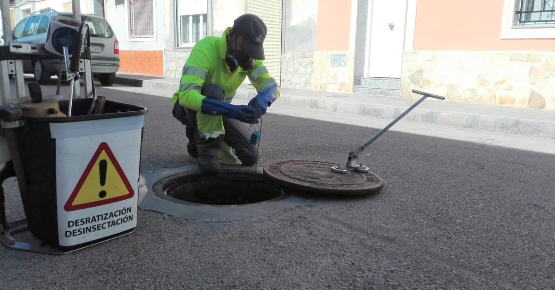 organismos-nocivos-sevilla