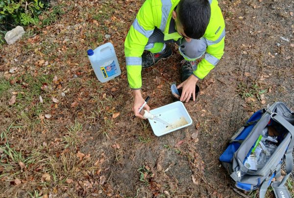 técnico de control de plagas cogiendo muestras de mosquitos