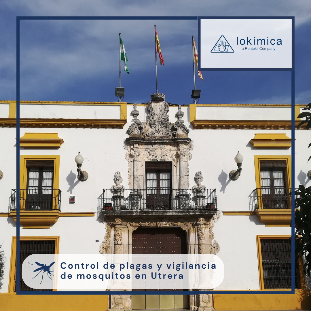 Imagen de la fachada del Ayuntamiento de Utrera, con creatividades de Lokímica.