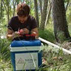 Muestreo mosquito del metro