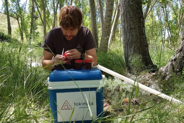 Muestreo mosquito del metro