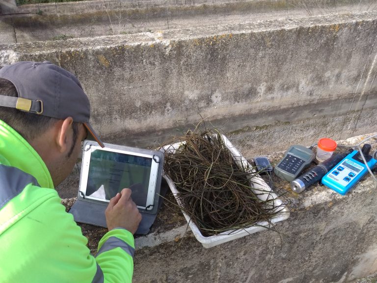 Análisis de mosca negra.