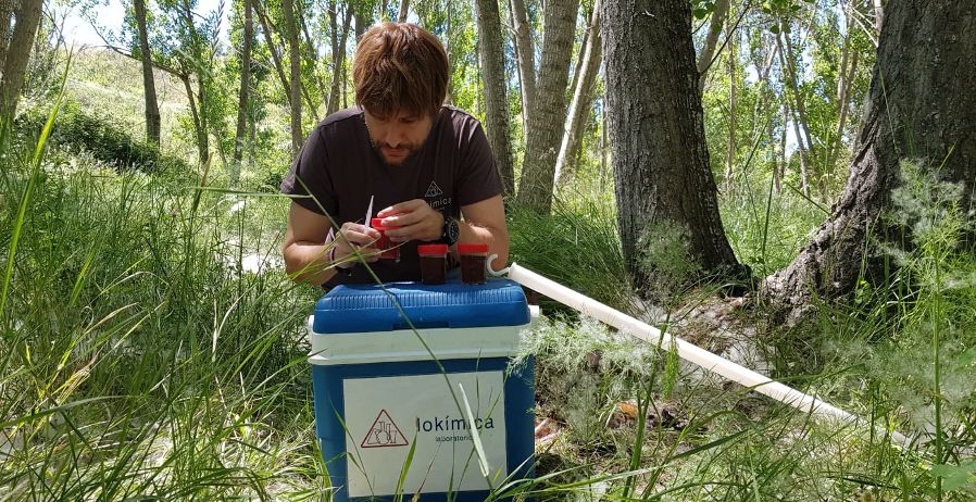 Muestreo mosquito del metro
