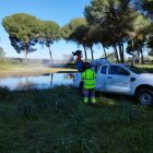 Imagen de un técnico aplicando tratamientos contra el VNO con una pick-up.
