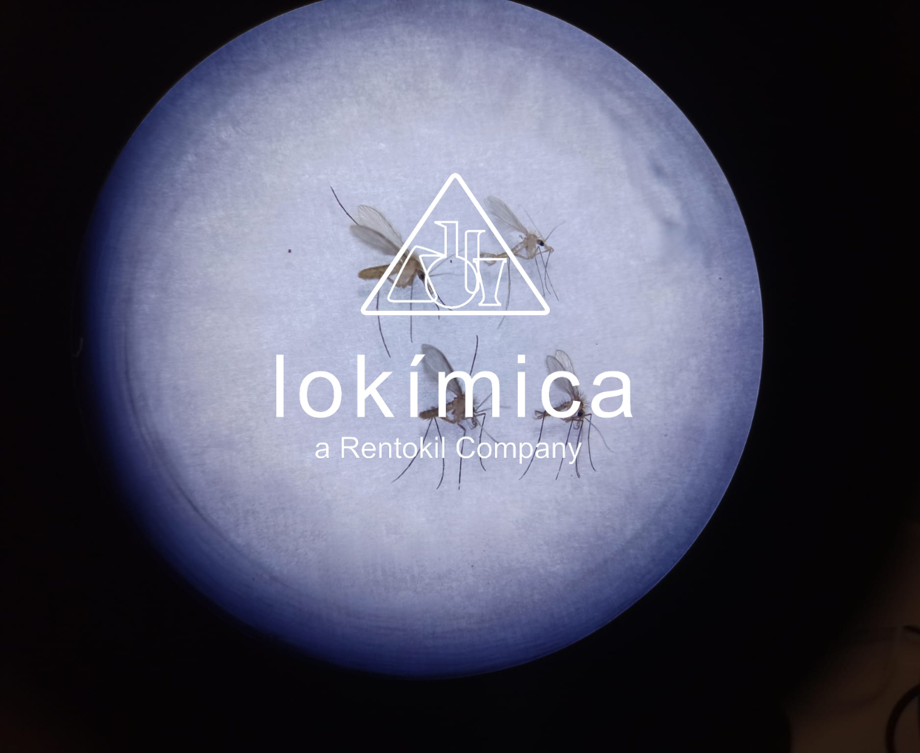 Imagen de microscopio con el logo de Lokímica.