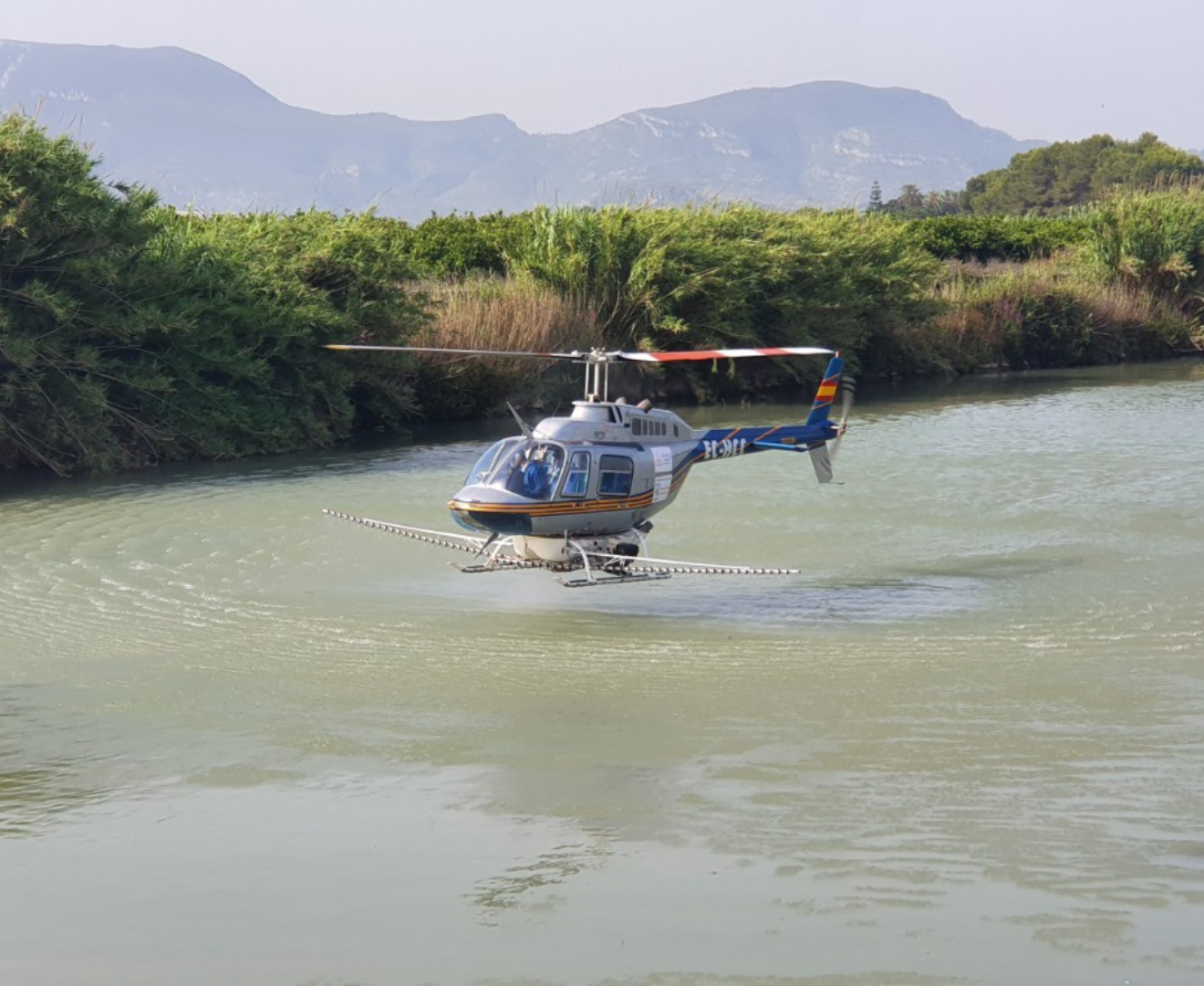 Imagen de un helicóptero aplicando tratamientos para controlar la mosca negra.