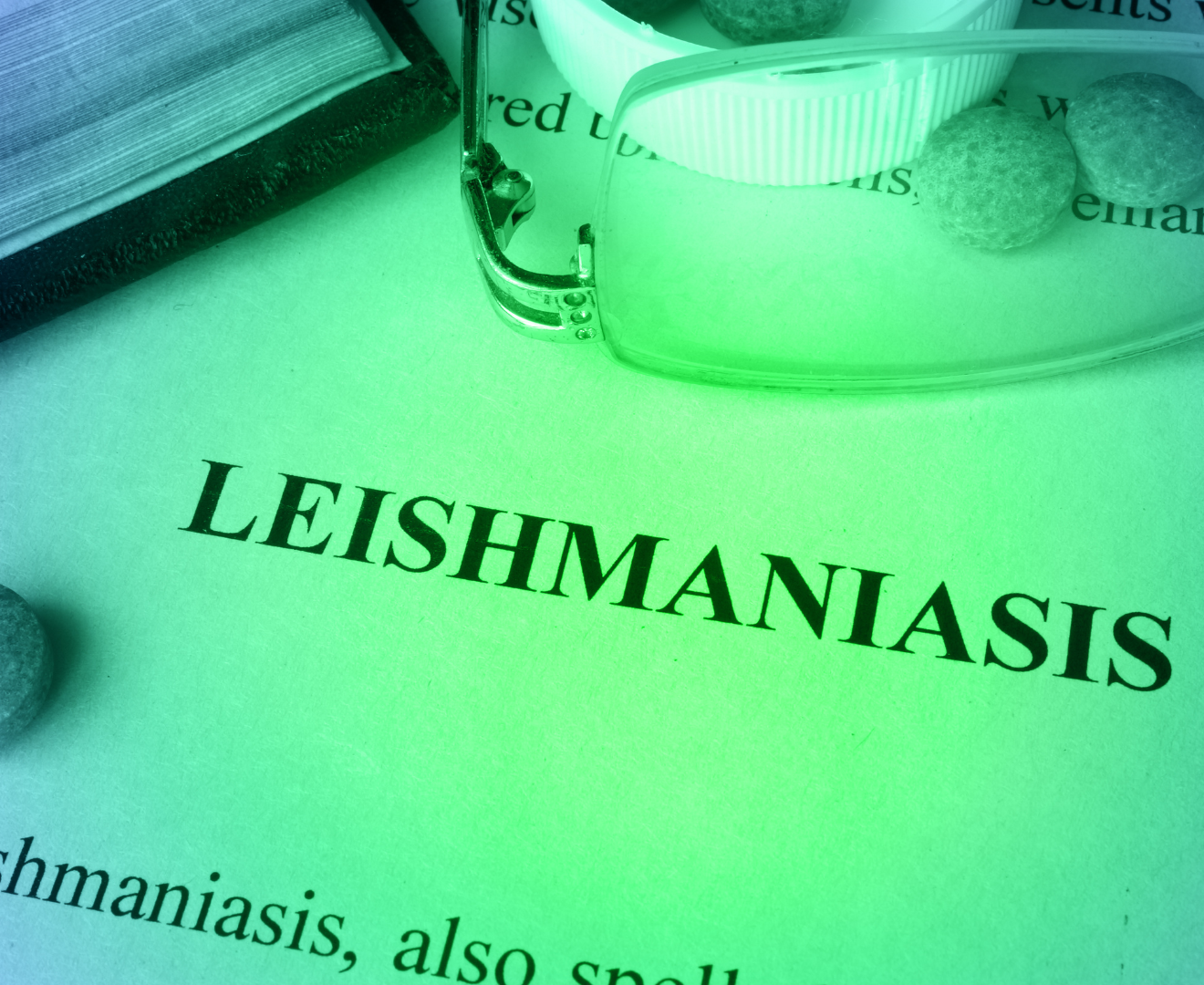 Imagen de un texto científico en el que se lee la palabra "LEISHMANIASIS".