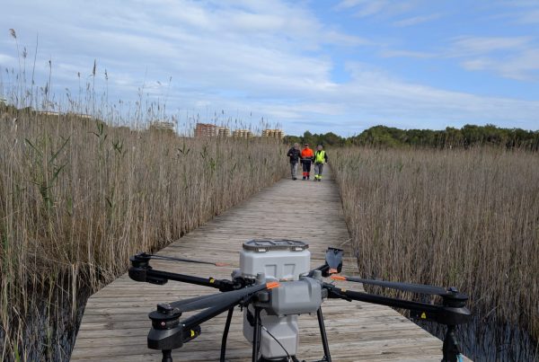 Dron de Lokímica preparado para una actuación de control vectorial en un entorno de humedal mediterráneo.